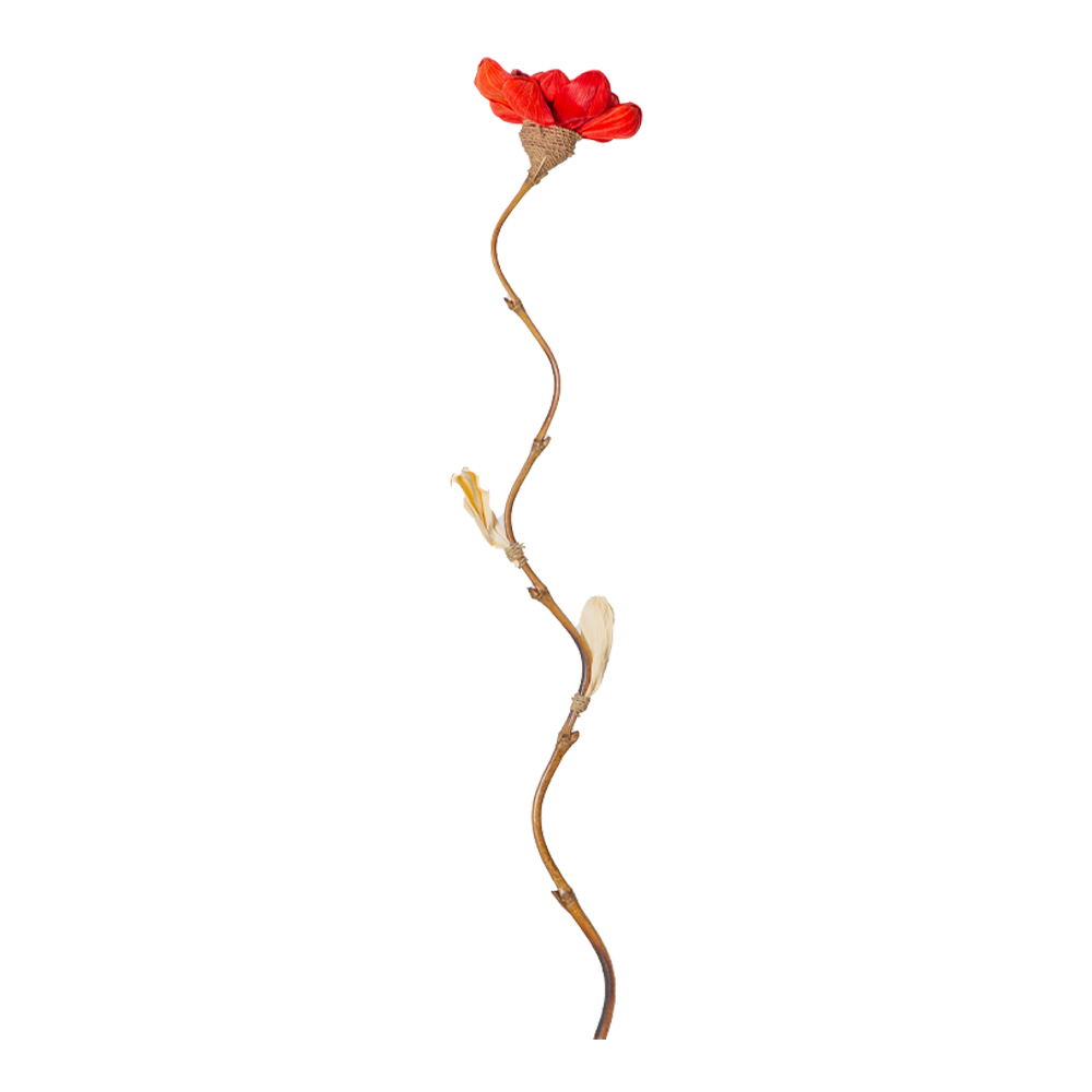 Bamboo Stick Dry Flower Lotus Design, Red
