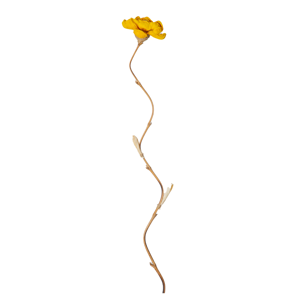 Bamboo Stick Dry Flower Lotus Design, Yellow