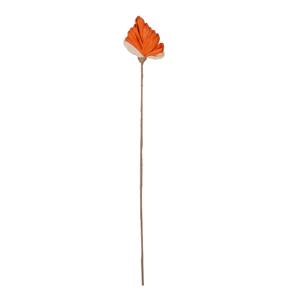 Decoration: Corn Dry Leaf, Orange