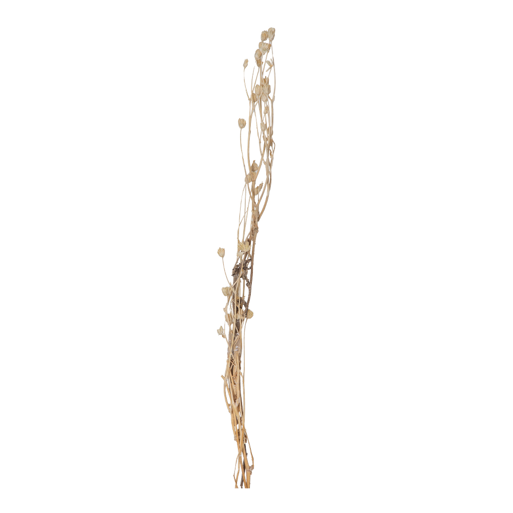 Decoration: Mini Bamboo Décor Stick, Natural