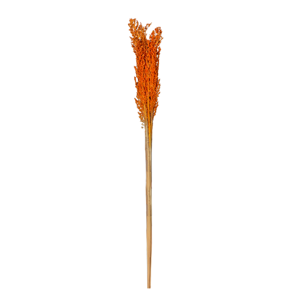 Decoration: Rice Flower Decor, Orange