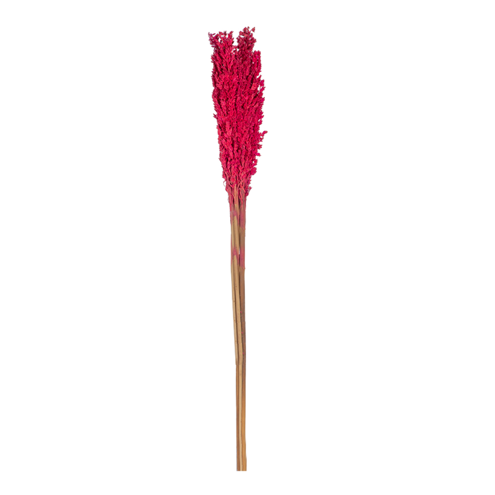 Decoration: Rice Flower Decor, Pink