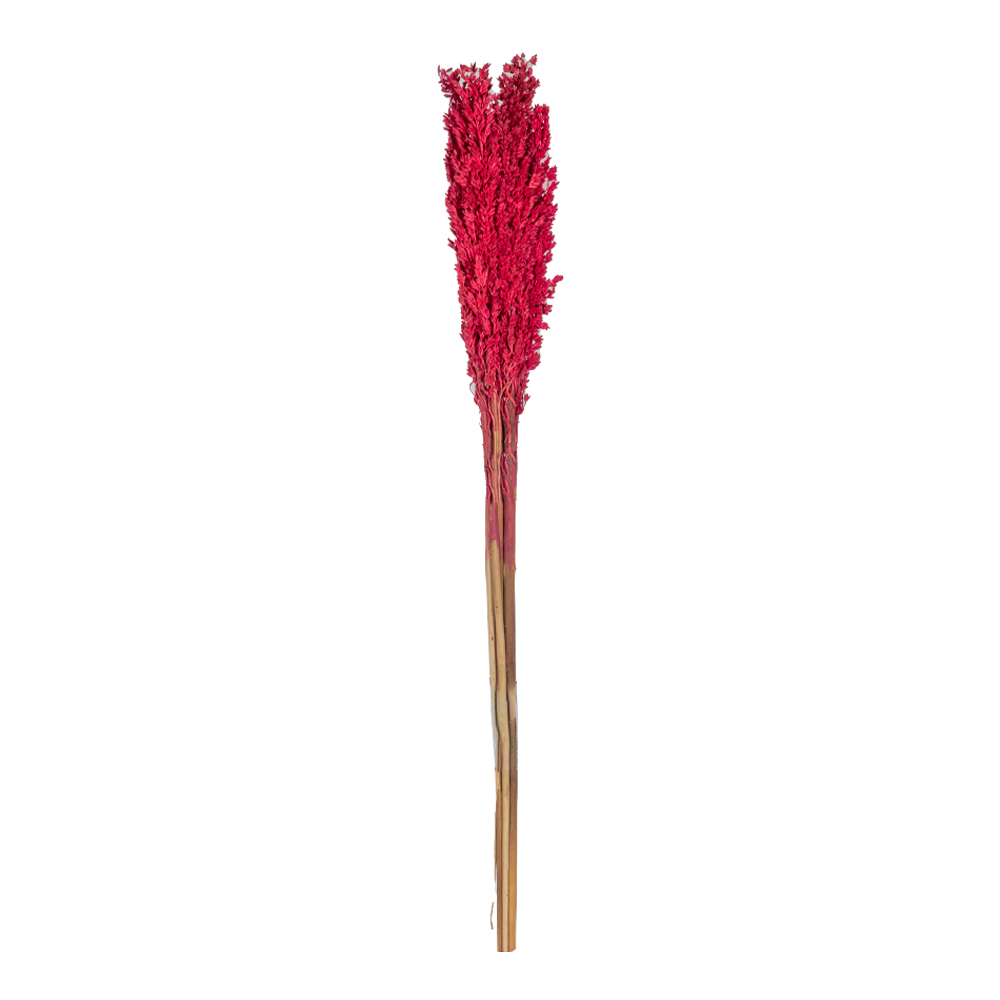 Decoration: Rice Flower Decor, Red