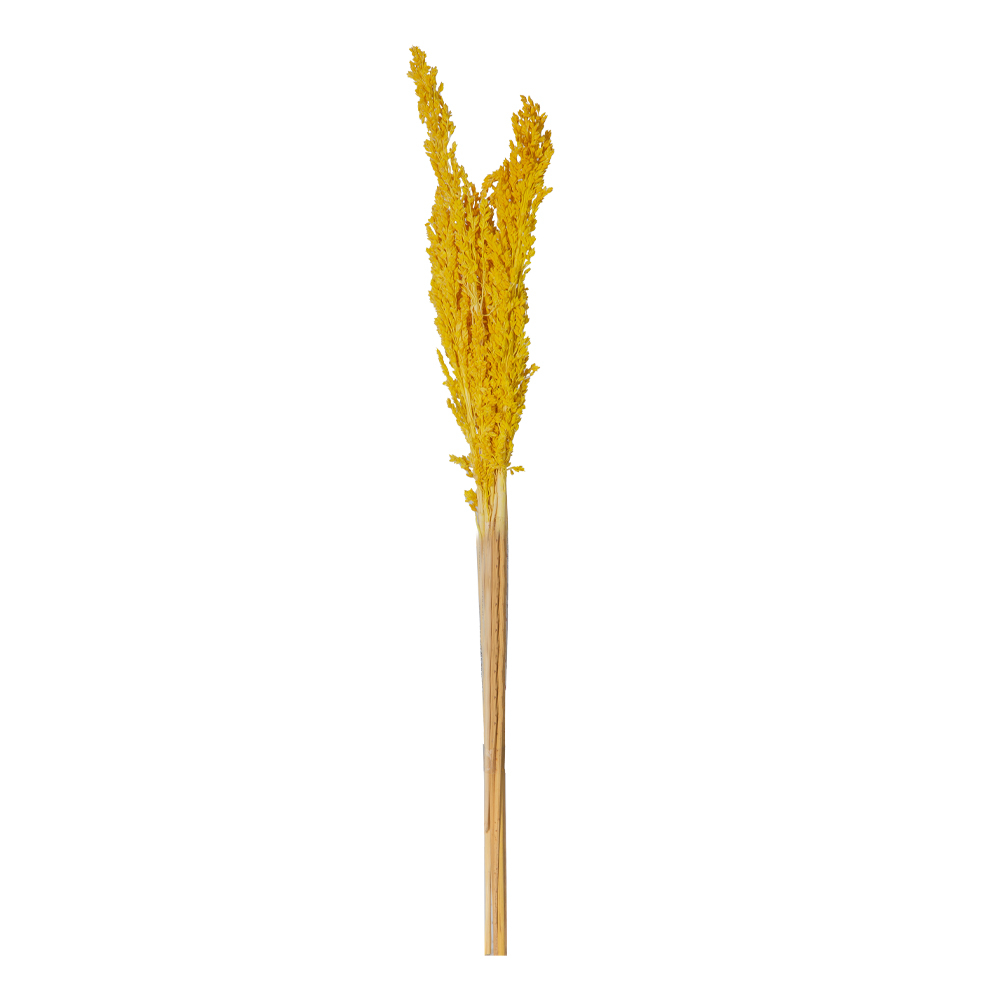Decoration: Rice Flower Decor, Yellow