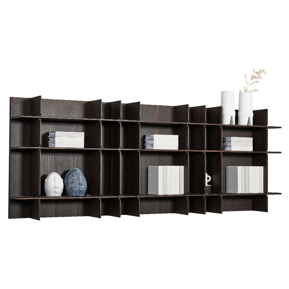 Floating Wall Cabinet; (220x46x48)cm, Oak